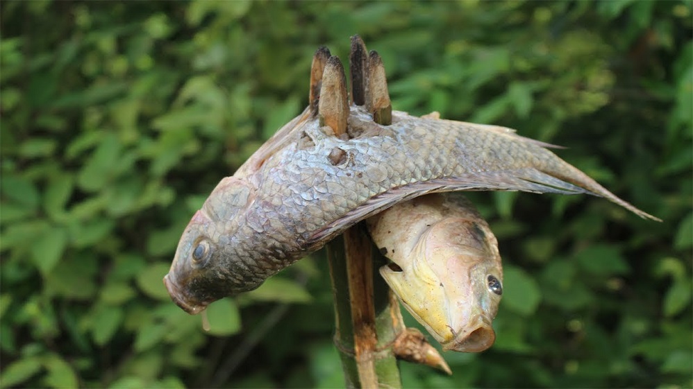 Τεχνικές ψαρέματος χωρίς καλάμι