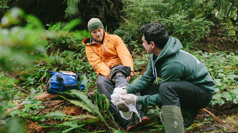 Πρώτες βοήθειες χωρίς φαρμακείο